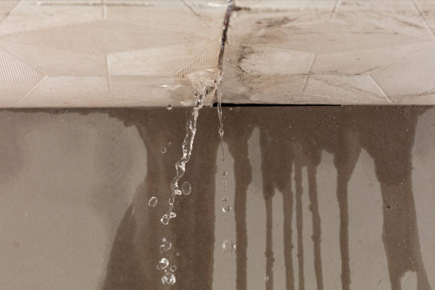 Professional Structural Drying technician working in Corsica, SD